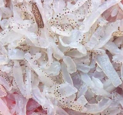 /screenshot-www.sendo.vn-2020.02.24-15_43_40.